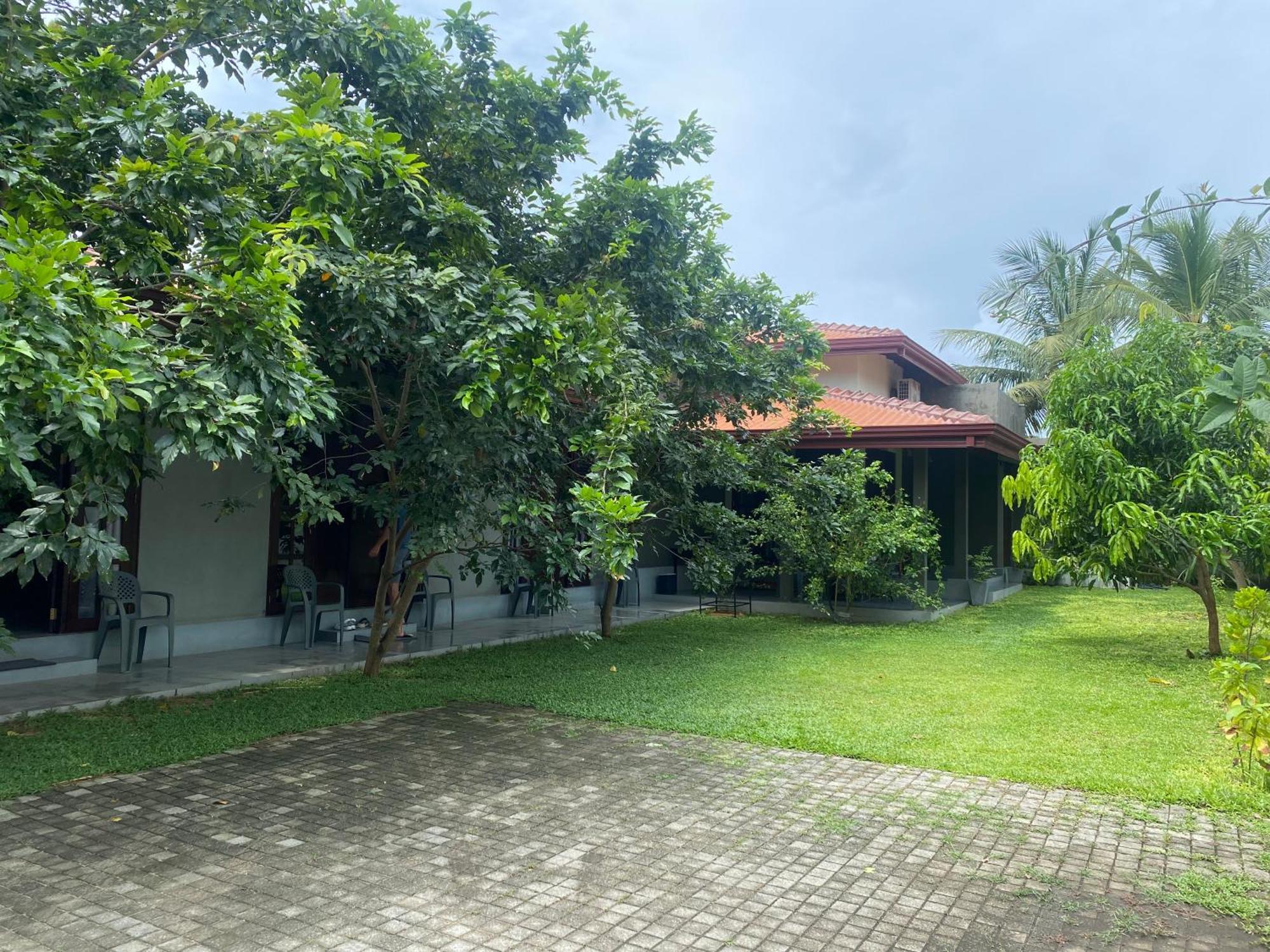 Negombo 146 Homestay Ngoại thất bức ảnh